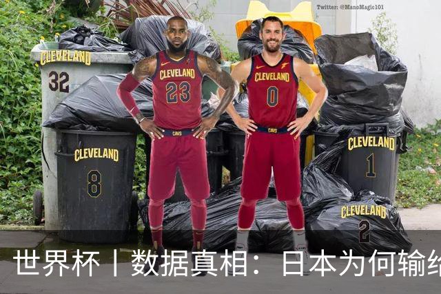 世界杯丨数据真相：日本为何输给巴西？